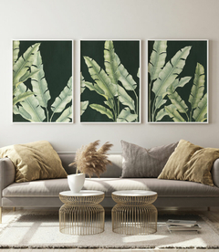 Trio Quadro Decorativo Composição Helicônias Esmeralda