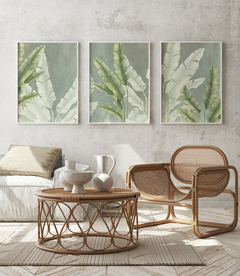 Trio Quadro Decorativo Composição Helicônias