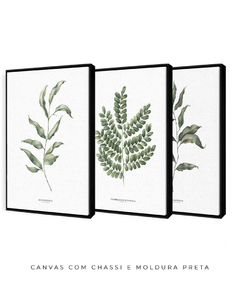 Trio Quadro Decorativo Eucalipto I + Pau Brasil + Eucalipto II - comprar online