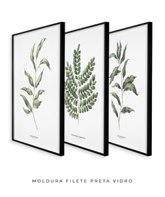 Imagem do Trio Quadro Decorativo Eucalipto I + Pau Brasil + Eucalipto II