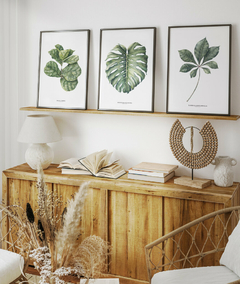 Trio Quadro Decorativo Ficus Lyrata + Monstera + Tabebuia