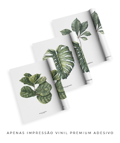 Trio Quadro Decorativo Ficus Lyrata + Monstera + Tabebuia - Flowersjuls - Quadros botânicos decorativos | Aquarelas autorais