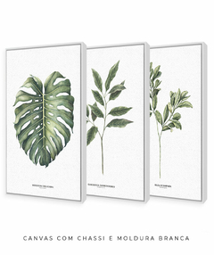 Trio Quadro Decorativo Galho Gardênia + Monstera + Oliveira - Flowersjuls - Quadros botânicos decorativos | Aquarelas autorais