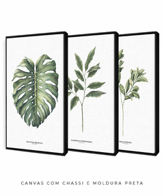 Imagem do Trio Quadro Decorativo Galho Gardênia + Monstera + Oliveira