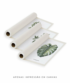 Trio Quadro Decorativo Galho Gardênia + Monstera + Oliveira