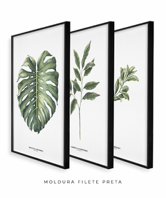 Trio Quadro Decorativo Galho Gardênia + Monstera + Oliveira - Flowersjuls - Quadros botânicos decorativos | Aquarelas autorais