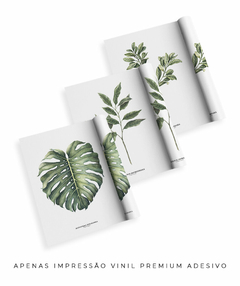 Trio Quadro Decorativo Galho Gardênia + Monstera + Oliveira na internet