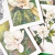 Banner de Flowersjuls - Quadros botânicos decorativos | Aquarelas autorais