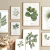 Banner de Flowersjuls - Quadros botânicos decorativos | Aquarelas autorais
