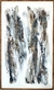 “Sin termino Medio “ Serie N 3 - comprar online