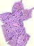 BABY DOLL AMELIA - comprar online
