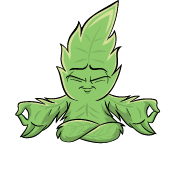SENSEI BOX