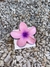 Florcita Claw en internet