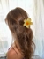 Florcita Claw en internet