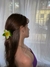 Florcita Claw - no duerme