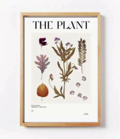 COLECCIÓN THE PLANT