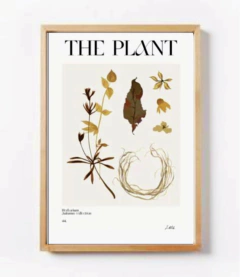 COLECCIÓN THE PLANT - comprar online