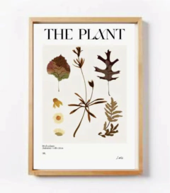 COLECCIÓN THE PLANT en internet