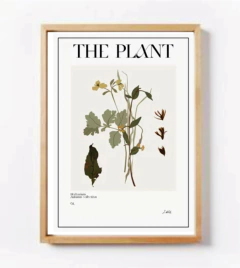 COLECCIÓN THE PLANT - casa cuadros cba