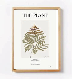 COLECCIÓN THE PLANT - tienda online