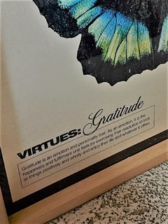 MARIPOSAS Y VIRTUDES - tienda online