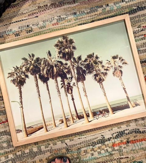 PALMS
