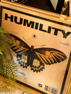 MARIPOSAS Y VIRTUDES