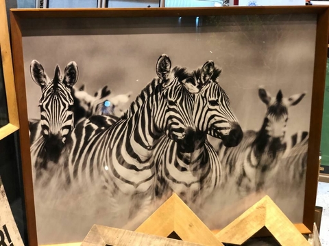 EN STOCK INMEDIATO #3 ZEBRAS