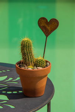CORAZÓN - comprar online