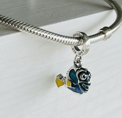 DORY