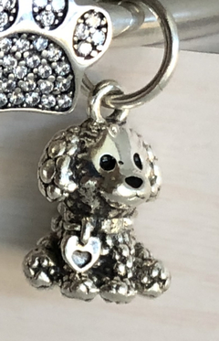 CANICHE - comprar online