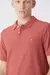 THE SOLID DADDY POLO PENGUIN - comprar online