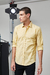 LS VERTICAL STRIPE SHIRT PENGUIN - comprar online