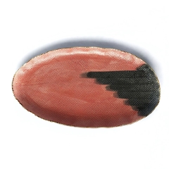 Bandeja oval - loja online