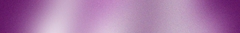 Banner de la categoría INDUMENTARIA