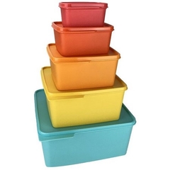 Tupperware Kit Basic Line 5 peças