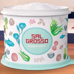 TUPPERWARE CAIXA SAL GROSSO FLORAL 1 KG - comprar online