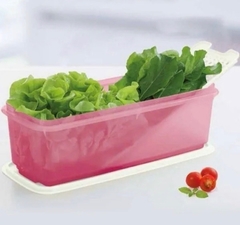 Tupperware Super Caixa 4,3 litros - comprar online