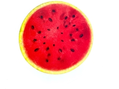 Squishy sandia