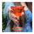 Perfume Spot Oriental Feminino 75ml - comprar online