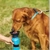Bebedouro Portátil Squeeze Aqua Dog - loja online