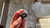 Fone de Ouvido Bluetooth Tws Jbl Reflect Mini Nc O.R.I.G.I.N.A.L - loja online
