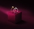 Solitário Julie com 45 pontos de diamantes - Coleção Mariage na internet