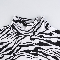 Top Zebra na internet