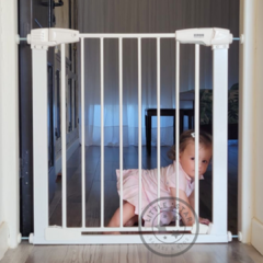 Puerta de seguridad BI - comprar online