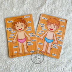 Encastre cuerpo humano
