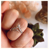 Anillo IRIS