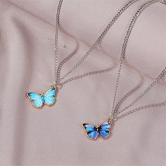 Collar Blue Sky