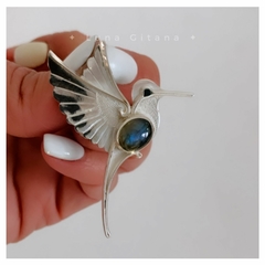 Dije Colibrí Haliotis en internet