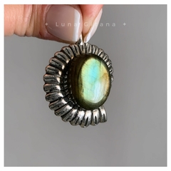 Dije Ammonite con Labradorita